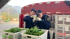 清水河口岸一季度进出口货值同比增长131.6%